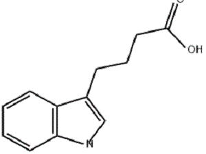 Indole Butyric Acid MF.gif