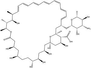 Amphotericin B powder MF Amphotericin B powder MF