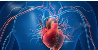 cardiovascular cardiovascular