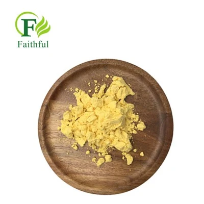 مسحوق أمفوتريسين ب CAS 1397-89-3
